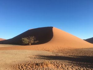 Approaching Dune 45
