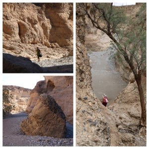 Exploring Sesriem Canyon