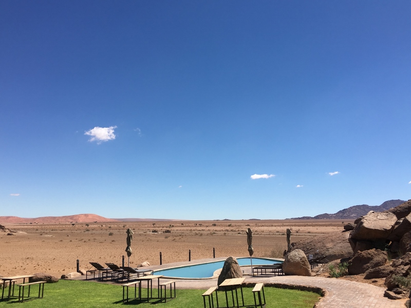 Communal Pool area Desert Quiver